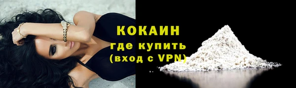 соль ск Богданович