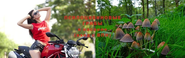 альфа пвп VHQ Бугульма