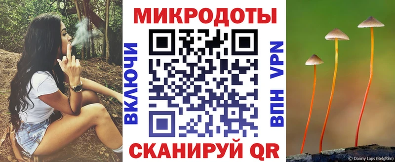 KRAKEN зеркало  Чудово  Псилоцибиновые грибы Cubensis 