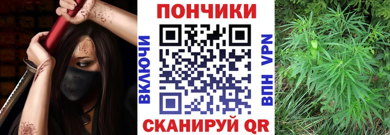 закладки Чудово Марихуана марихуана